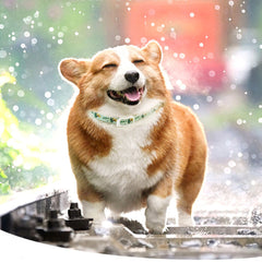 Pet Dog Repellent Collar, Cat Anti-flea Collar, Anti-lice External Neck Collar, Pet Flea Collar, Pet Supplies For Going Out Adjustable Dog Calming Collars - Otaj Gifts