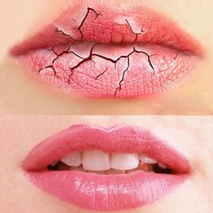 Labial membrane - Otaj Gifts