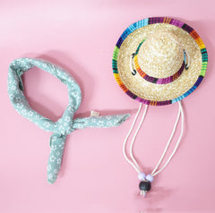 Pet Accessories Summer Outing Set - Otaj Gifts