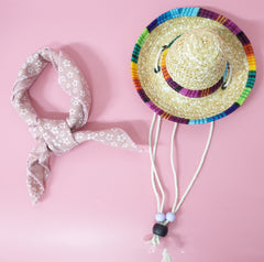 Pet Accessories Summer Outing Set - Otaj Gifts