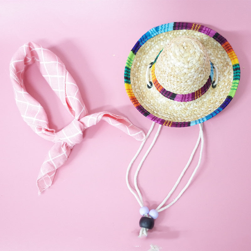 Pet Accessories Summer Outing Set - Otaj Gifts