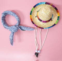Pet Accessories Summer Outing Set - Otaj Gifts