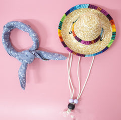 Pet Accessories Summer Outing Set - Otaj Gifts
