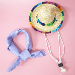 Pet Accessories Summer Outing Set - Otaj Gifts