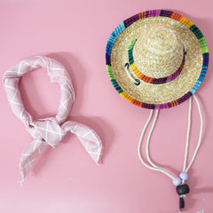 Pet Accessories Summer Outing Set - Otaj Gifts