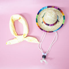 Pet Accessories Summer Outing Set - Otaj Gifts