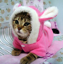 Pet Cat Clothes Mascotas Costume Clothes For Pet Hoodies Cute Rabbit Cat Clothing Puppy Fleece Warm Pet Cat Jacket - Otaj Gifts