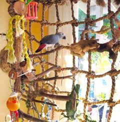 Parrot bird hemp rope climbing net - Otaj Gifts