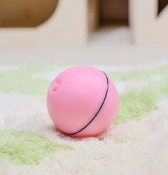 LED Laser Electronic Rolling Pet Funny Cat Toy Ball - Otaj Gifts