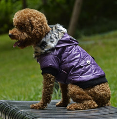 Cross-border pet supplies pet clothes dog clothes autumn and winter fur collar coat pet dog clothing - Otaj Gifts