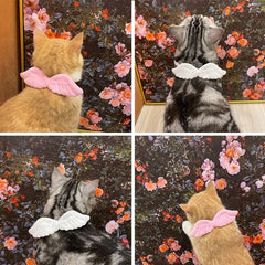 Cat Collar Angel Wing Accessories Butterfly Tie - Otaj Gifts