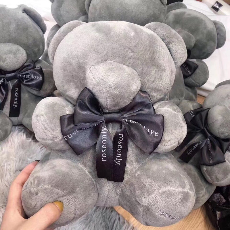 Hug bear gift bear gift box - Otaj Gifts