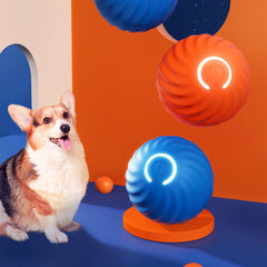 Pet Dog Rubber Ball Toys For Dogs Resistance To Bite Dog Chew Toys Puppy Pets Dogs Training Products - Otaj Gifts