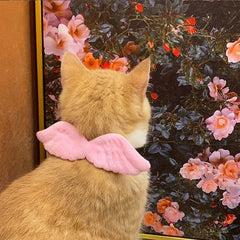 Cat Collar Angel Wing Accessories Butterfly Tie - Otaj Gifts