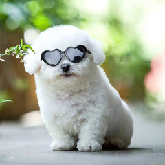 Doll Sunglasses Pet Toy Accessories - Otaj Gifts