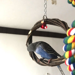 Bird Standing Frame Rattan Ring Chewing Toy Bird Cage - Otaj Gifts
