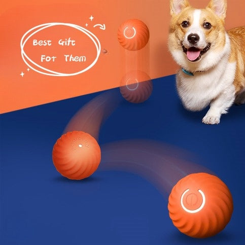 Pet Dog Rubber Ball Toys For Dogs Resistance To Bite Dog Chew Toys Puppy Pets Dogs Training Products - Otaj Gifts