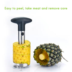 Stainless Steel Pineapple Grater Cutter Kitchen Gadget Fruit Peeler Corer Grater Kitchen Tools - Otaj Gifts