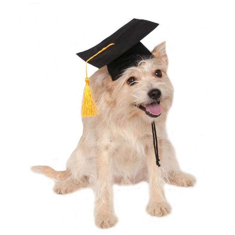 Tassel Degree Hat Pet Products - Otaj Gifts