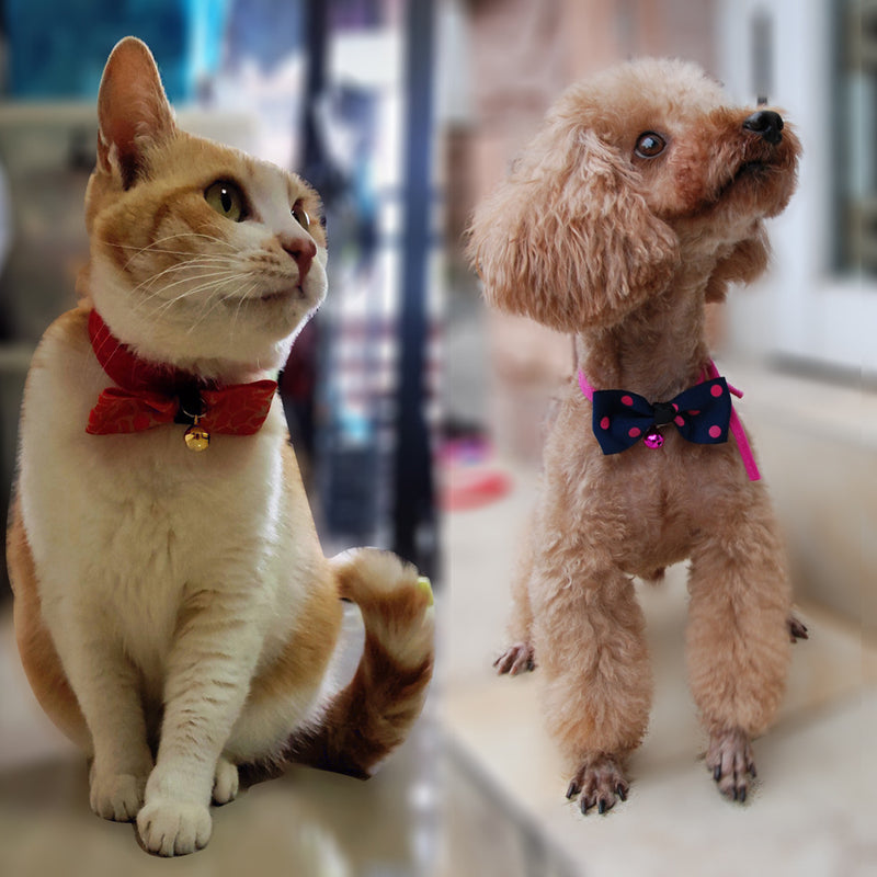 Pet accessories pet bow - Otaj Gifts