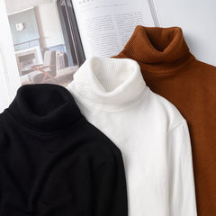 Men's Turtleneck Sweater Autumn And Winter - Otaj Gifts