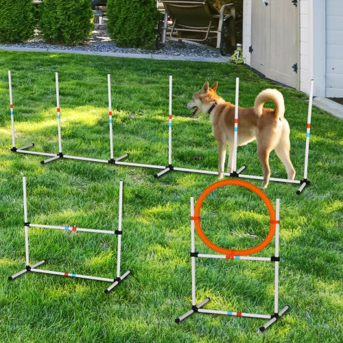 3PC Dog Agility Equipment Set, Obstacle Course Training Exercises For Dogs - Otaj Gifts