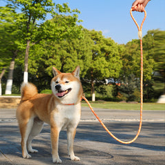 Dog Rope Pet Pulling Rope Puppy Strap Traction Rope Heavy Duty Belt Large Dog Leash Dog Collar Strap Dog Training Pet Harness Hands-Free Leash For Small Dogs Multicolor Pet Supplies - Otaj Gifts