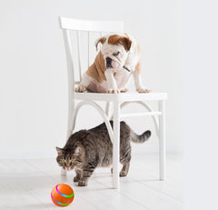 Pet New Cat Wicked Ball Toy Intelligent Ball USB Cat Toys Self Rotating Ball Automatic Rotation Ball - Otaj Gifts