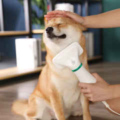 Escova Secadora De Pelos Para Pet Cachorro Gato - Otaj Gifts