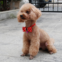 Pet accessories pet bow - Otaj Gifts