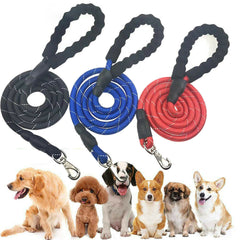Dogs Leash Running Elasticity Hand Freely Pet Products Dogs Harness Collar Jogging Lead And Adjustable Waist Rope Puppy Leash Lead Training Padded Handle Reflective - Otaj Gifts