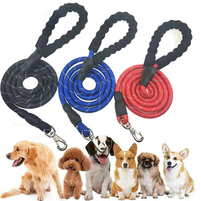 Dogs Leash Running Elasticity Hand Freely Pet Products Dogs Harness Collar Jogging Lead And Adjustable Waist Rope Puppy Leash Lead Training Padded Handle Reflective - Otaj Gifts