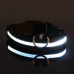 Nylon LED Night Safety Flashing Glow In The Dark Dog Leash Dogs Luminous Fluorescent Pet Dog Collar - Otaj Gifts