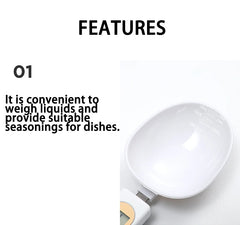 Hand held Digital LCD Electronic Kitchen Scale from 0.1g to 500g - Otaj Gifts