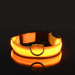 Nylon LED Night Safety Flashing Glow In The Dark Dog Leash Dogs Luminous Fluorescent Pet Dog Collar - Otaj Gifts