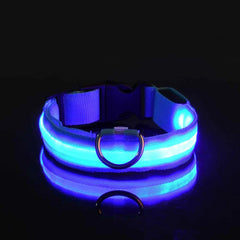 Nylon LED Night Safety Flashing Glow In The Dark Dog Leash Dogs Luminous Fluorescent Pet Dog Collar - Otaj Gifts