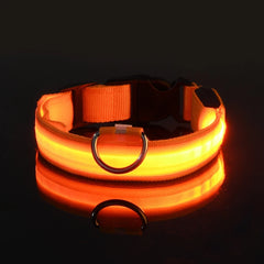 Nylon LED Night Safety Flashing Glow In The Dark Dog Leash Dogs Luminous Fluorescent Pet Dog Collar - Otaj Gifts