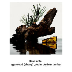 Brand Perfume Oud Wood Men Sandalwood Perfume Spray Flirting Pheromone Long Lasting Romance Attract Women Valentine's Day Gift - Otaj Gifts
