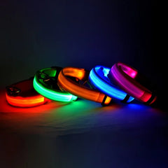 Nylon LED Night Safety Flashing Glow In The Dark Dog Leash Dogs Luminous Fluorescent Pet Dog Collar - Otaj Gifts