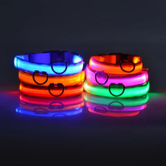 Nylon LED Night Safety Flashing Glow In The Dark Dog Leash Dogs Luminous Fluorescent Pet Dog Collar - Otaj Gifts