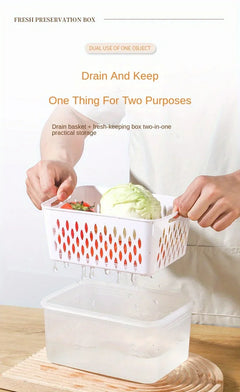 1/2/3pcs Refrigerator Storage Box Fridge Organizer Fresh Vegetable Fruit Drain Basket Storage Container Pantry Kitchen Organizer - Otaj Gifts