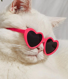 Doll Sunglasses Pet Toy Accessories - Otaj Gifts