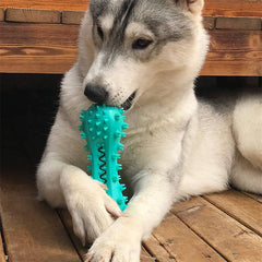 Pet Dog Cleaning Chew Toys For Aggressive Dogs Rubber Molar Stick Dog Oral Teeth - Otaj Gifts