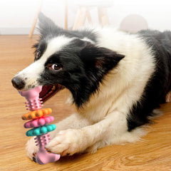 Dog Chew Toy Dog Bone Type  Dogs Teeth Cleaning Toys Indestructible TPR Bone Chewing Bite Resistant Teething Toys  Pet Products - Otaj Gifts