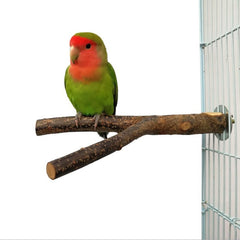 Bird Standing Frame Rattan Ring Chewing Toy Bird Cage - Otaj Gifts