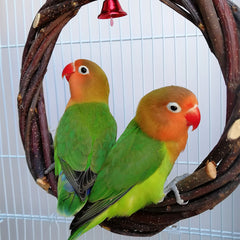 Bird Standing Frame Rattan Ring Chewing Toy Bird Cage - Otaj Gifts