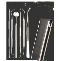 Personal Stainless Steel Dental Tools Suit Oral Mirror 5-piece Set Tooth Care Cleaning - Otaj Gifts