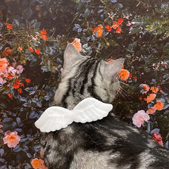Cat Collar Angel Wing Accessories Butterfly Tie - Otaj Gifts