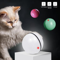 LED Laser Electronic Rolling Pet Funny Cat Toy Ball - Otaj Gifts